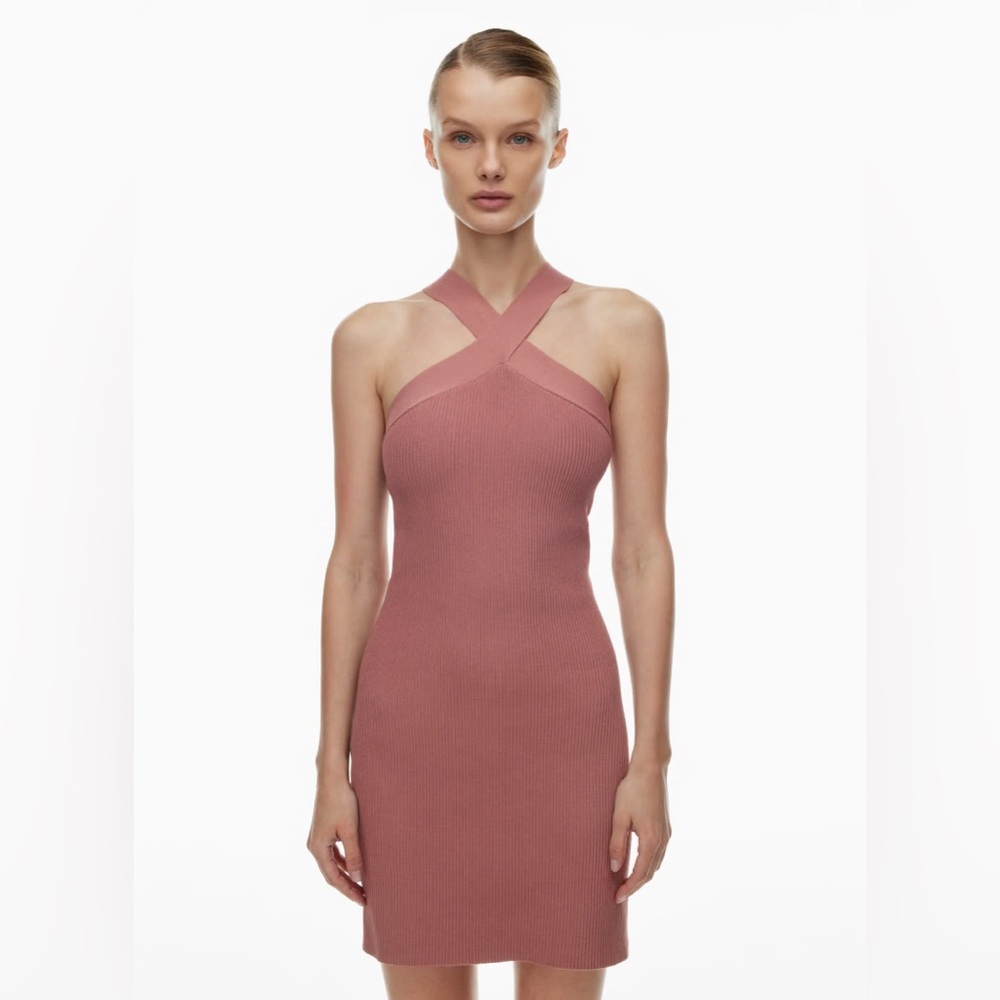 Aritzia / Babaton Sculpt Knit Criss Cross Dress in Red Willow Size Large